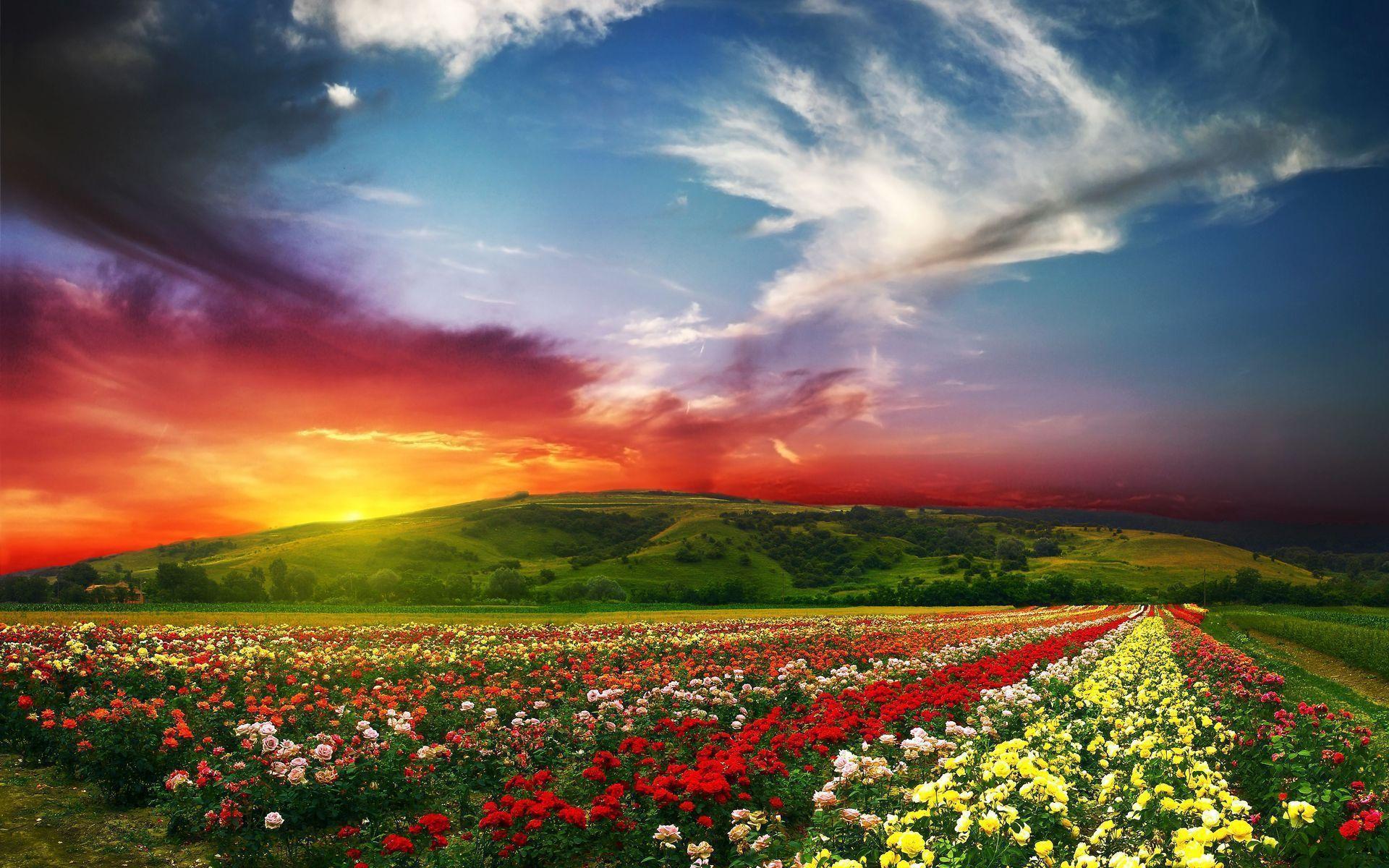 Beautiful Landscape Scenery Wallpaper- HD Wallpaper OS
