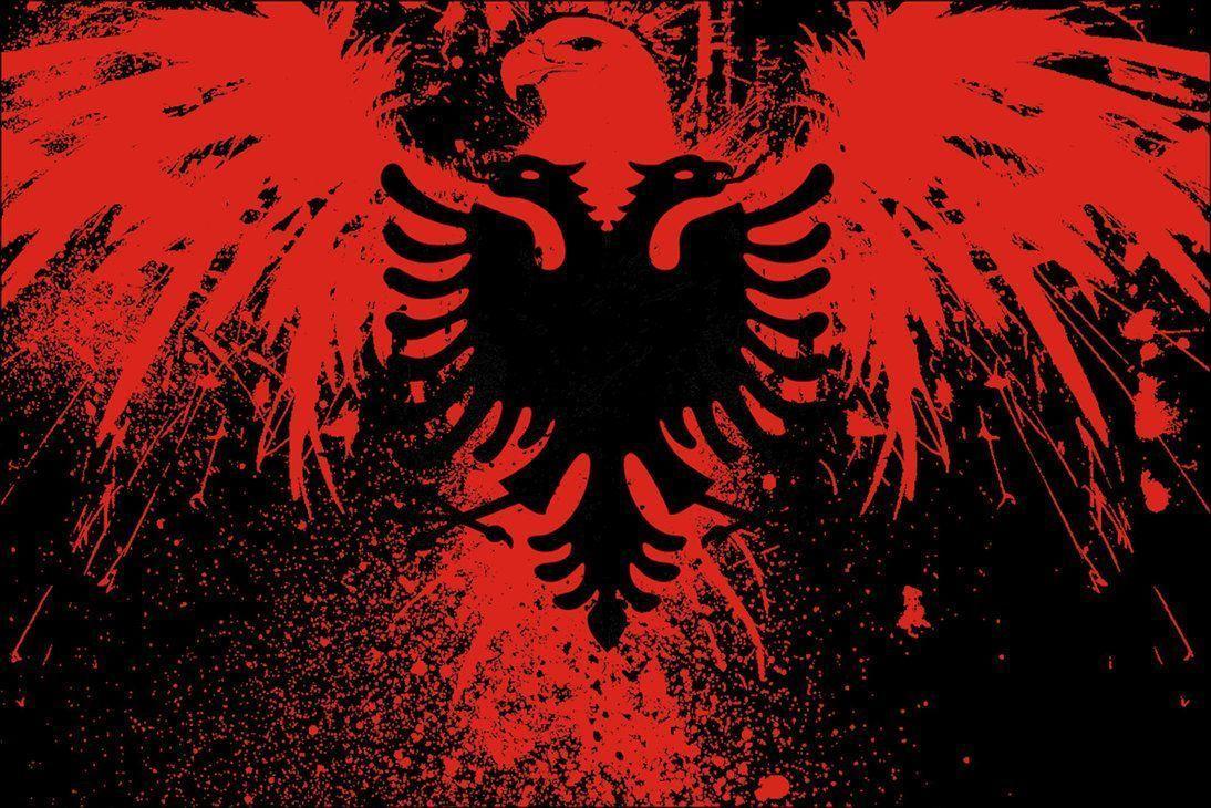 Albanian Eagle Shrook Wallpaper 1094x730 px Free Download