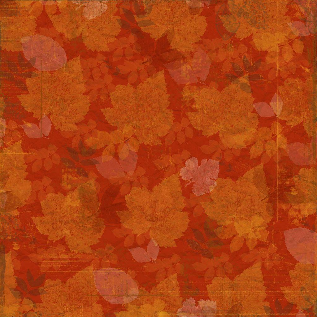 Thanksgiving Photo and Picture Items