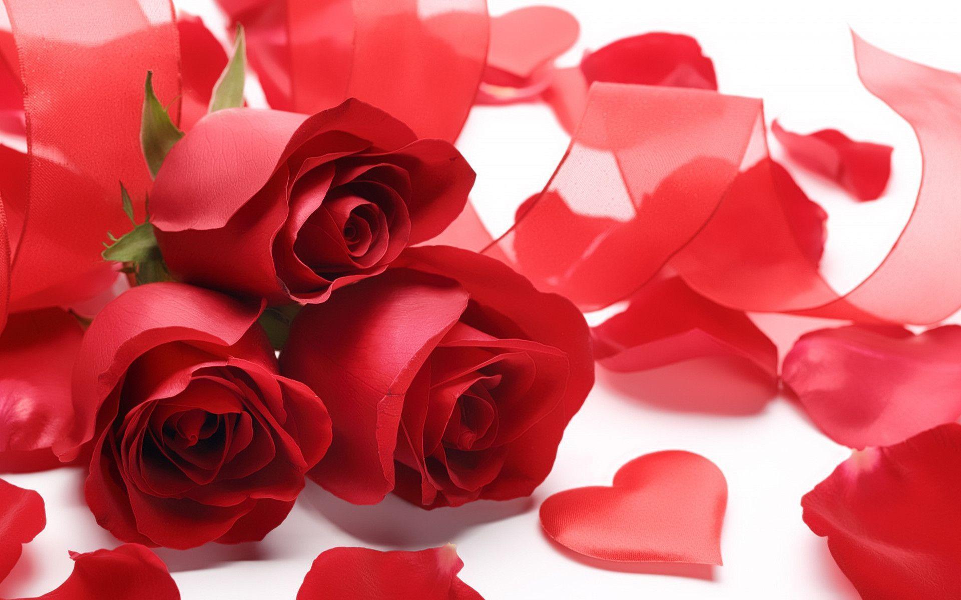 Wallpaper For > Wallpaper Of Red Roses With Heart