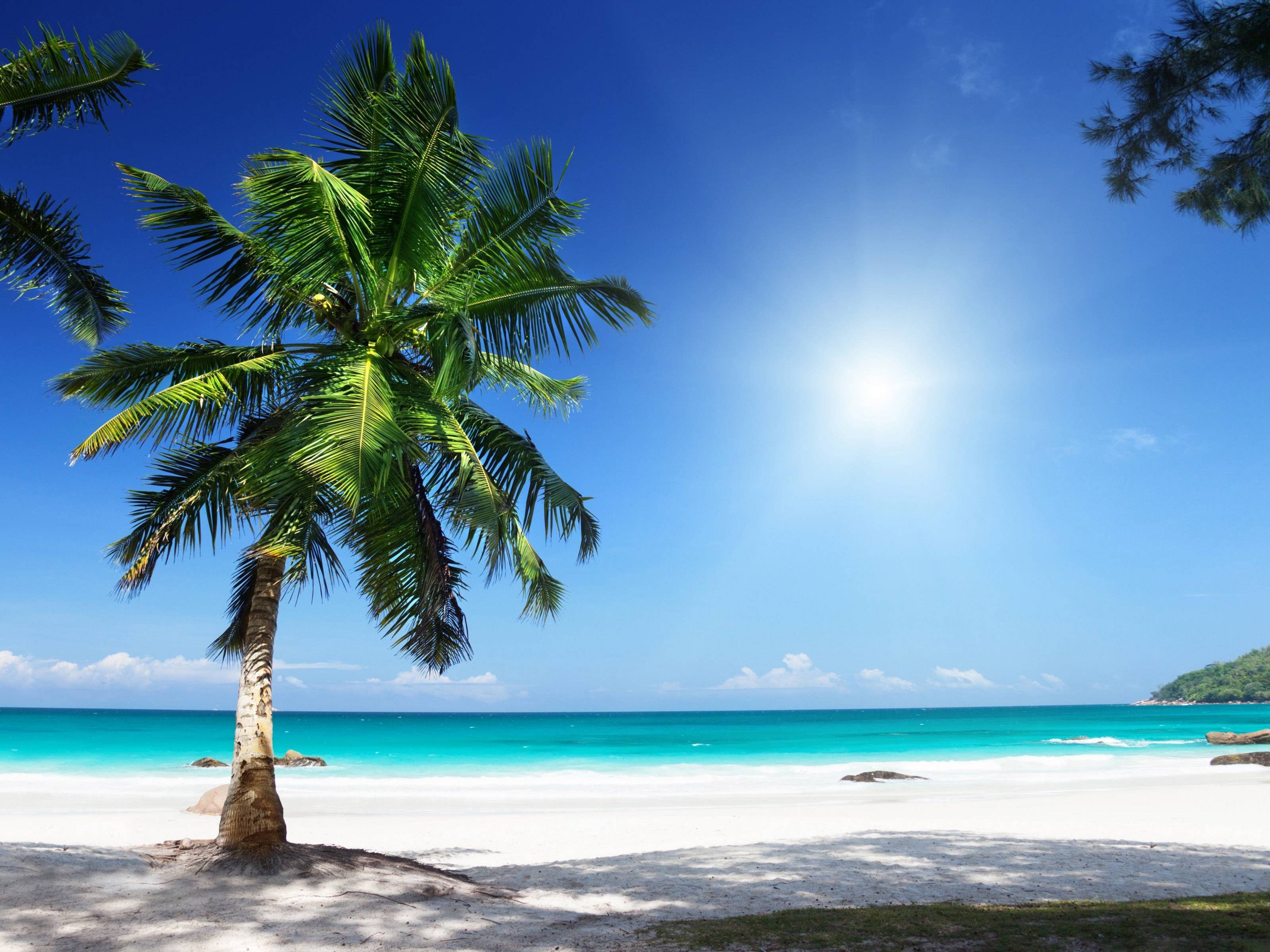 Paradise Sunny Beach Wallpaper Wide or HD