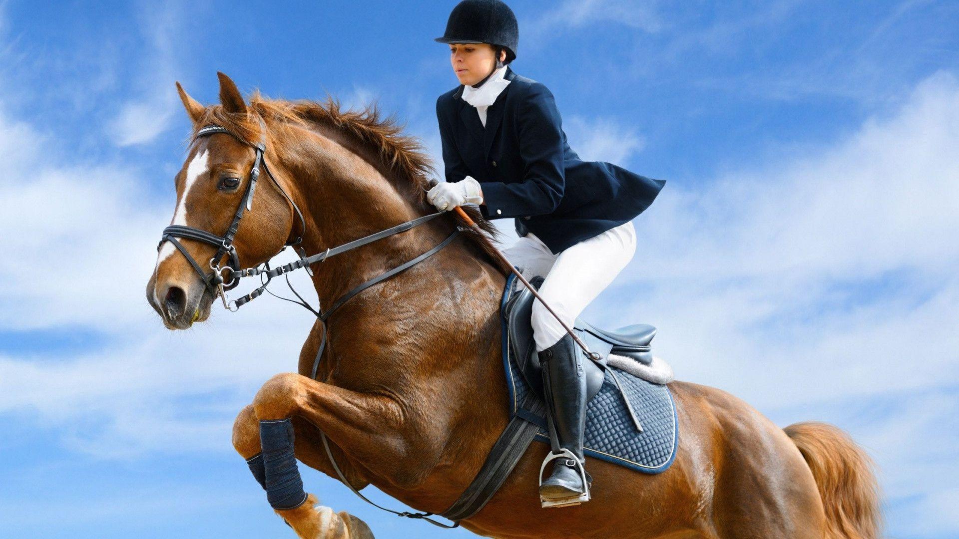 Equestrian Sport / Sport / Screen Wallpaper