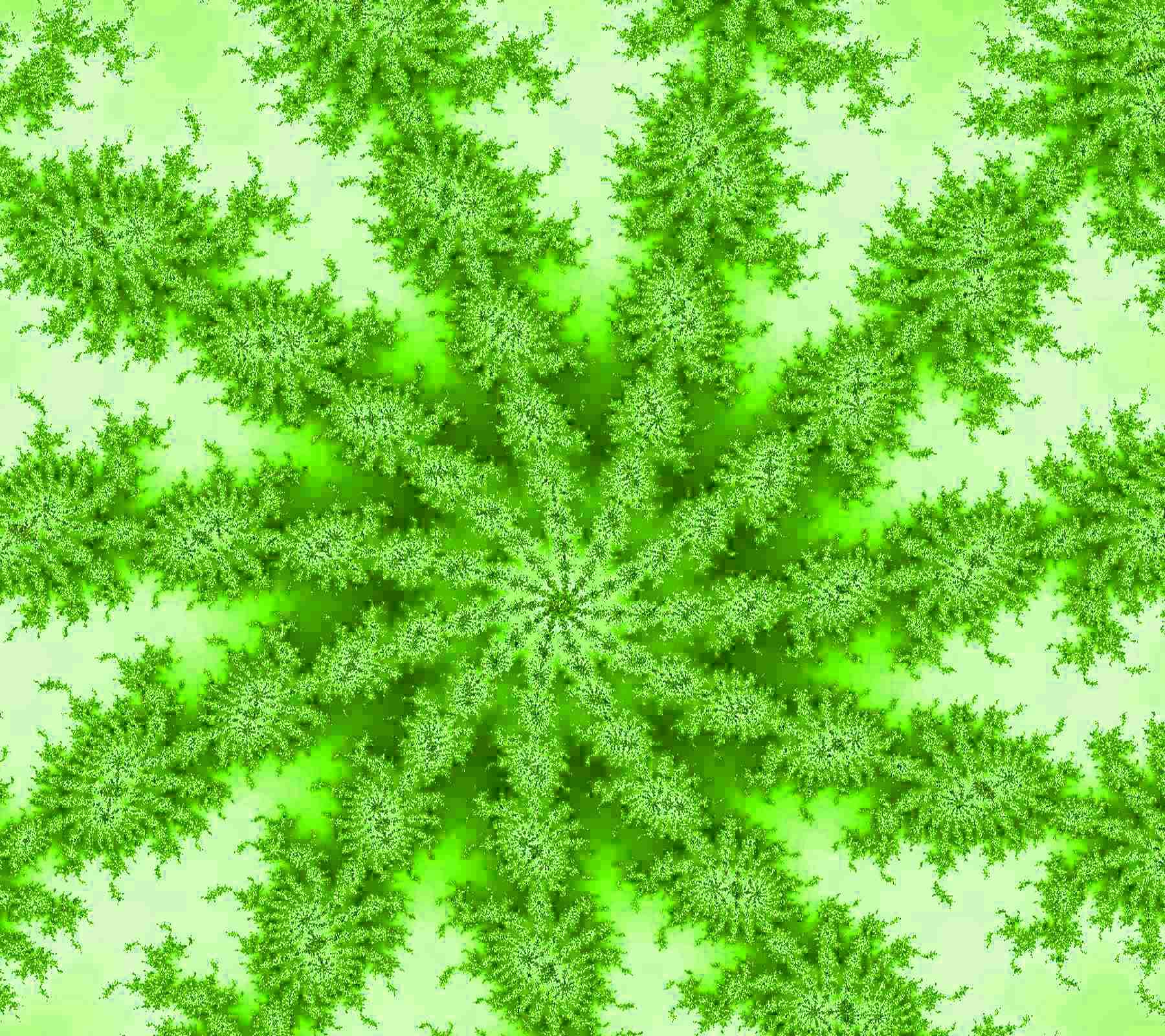 Free Lime Green Starburst Fractal Background 1800x1600 Background