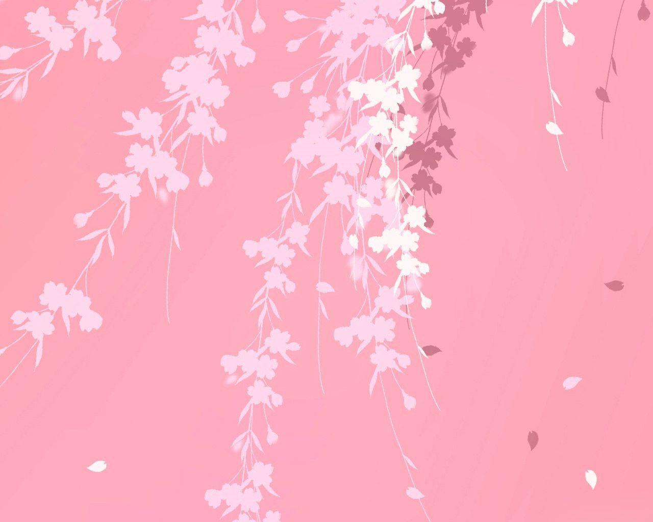Pink background branches windows 7 HD Wallpaper. High Quality