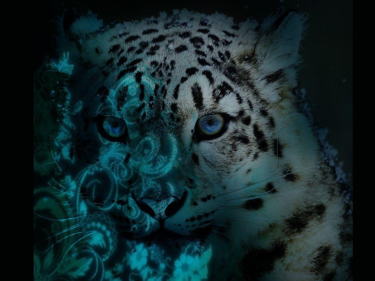 Free Wallpaper Leopard in darkness 1280x960 wallpaper
