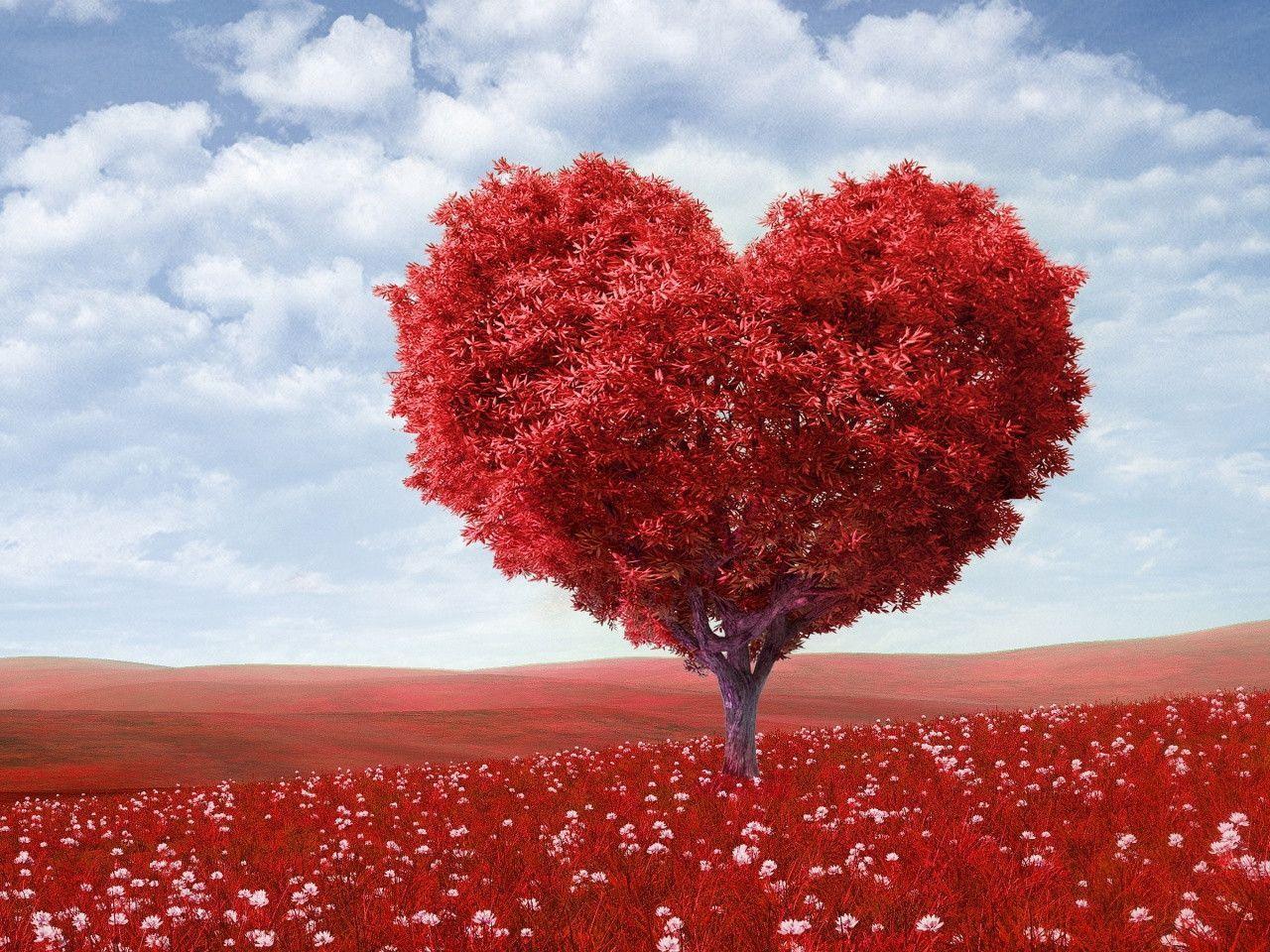 Red heart tree Wallpaper