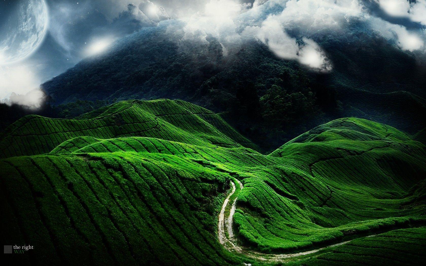 Wallpaper road, green, planet, the hills wallpaper nature