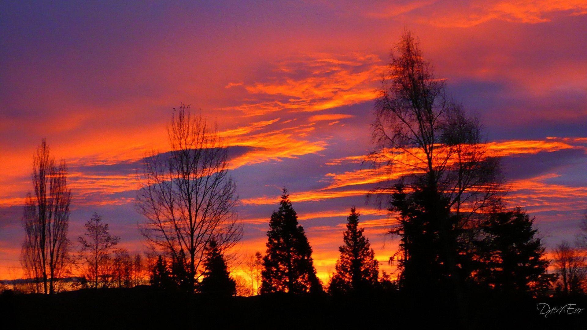 HD Pacific Northwest Sunrise Wallpaper