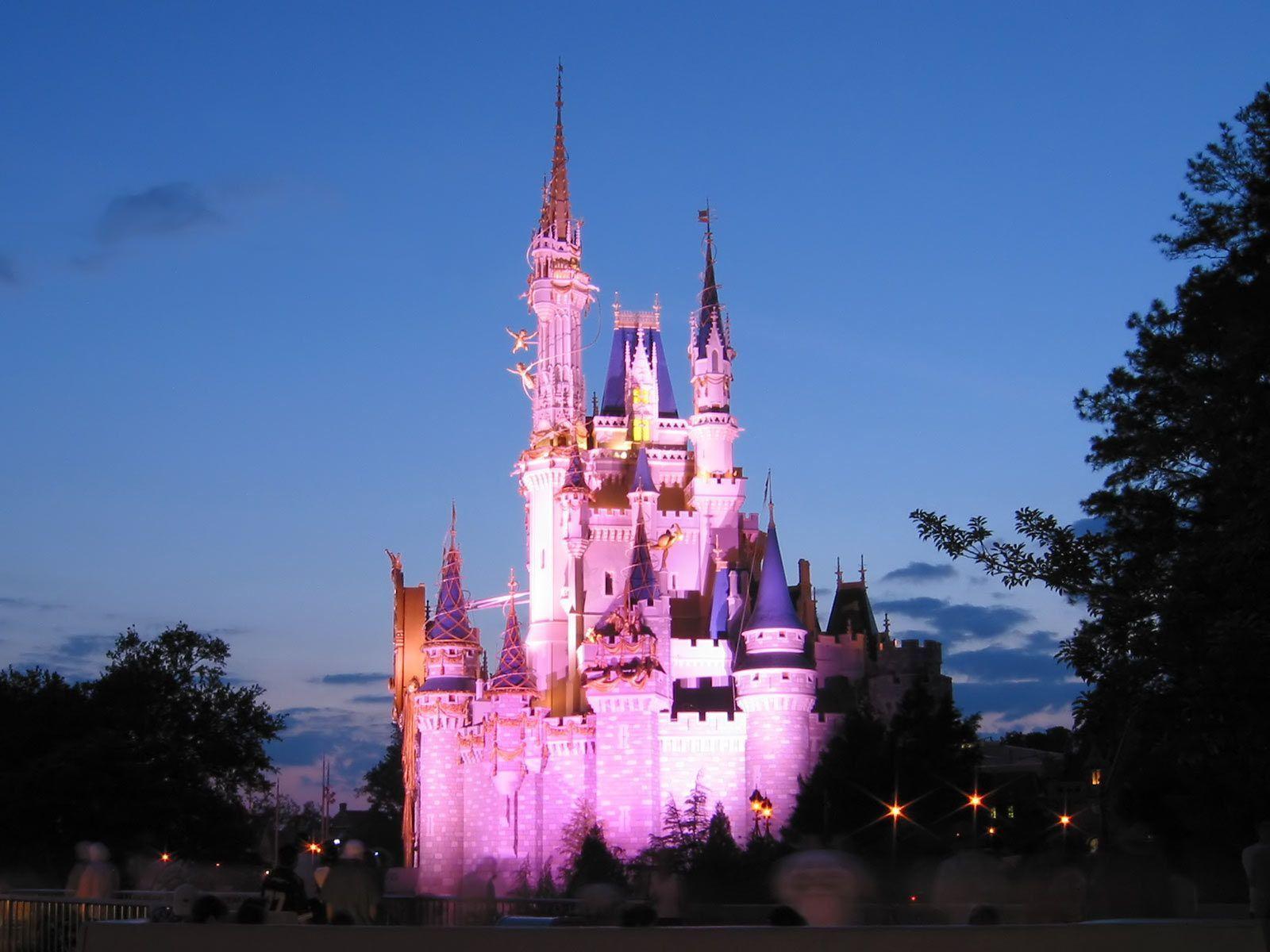 Disney Castle Widescreen Wallpaper