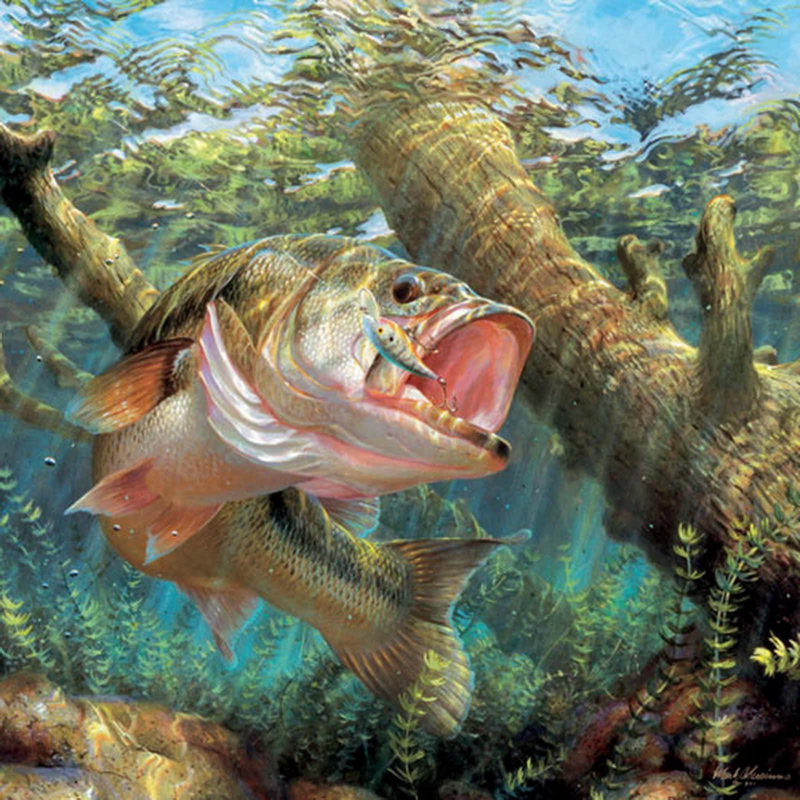 Free Largemouth Bass Wallpaper For Desktop. wallaadoo