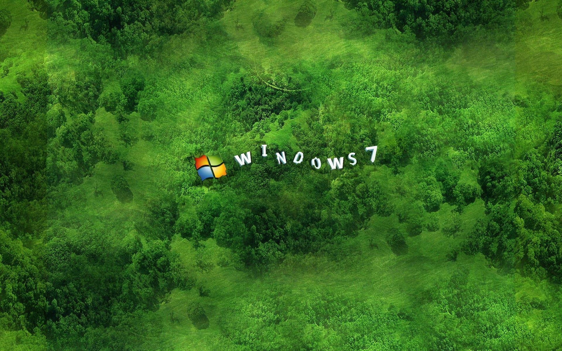 Windows Xp wallpaper