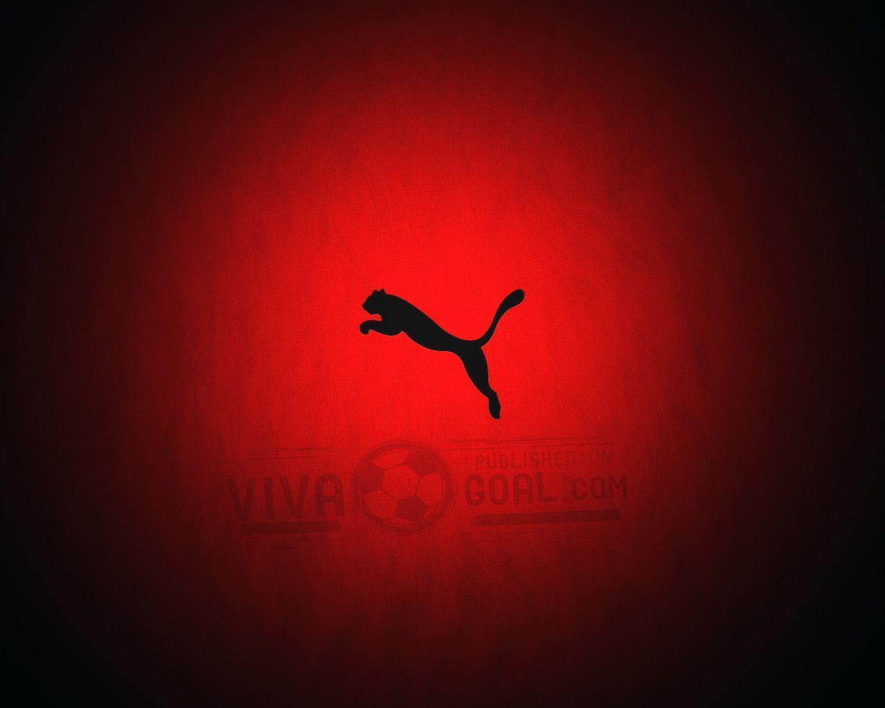 Puma Wallpapers - Wallpaper Cave
