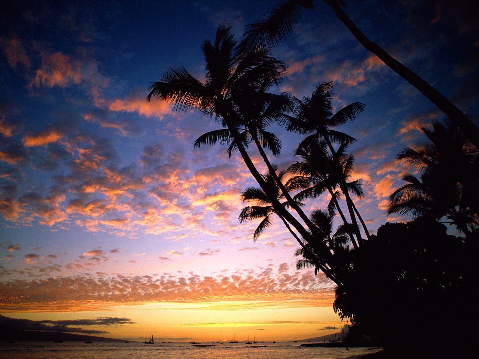 hawaii wallpaper iphone. HD Wallpaper and Download Free Wallpaper