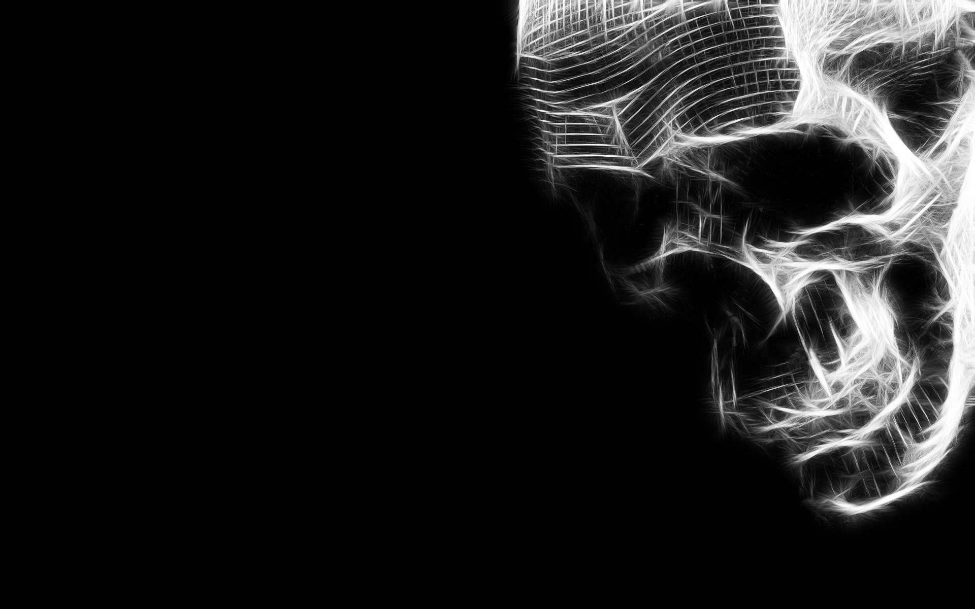 Cool HD Skull Black And White 3368 1920x1200px