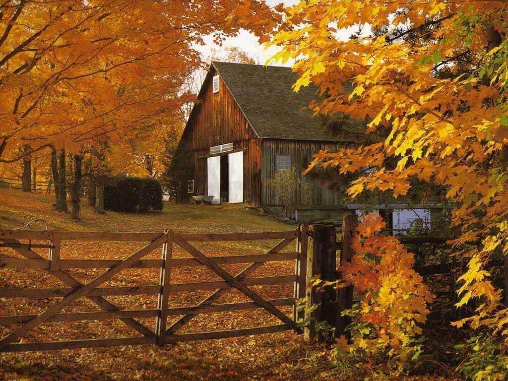 Autumn Wallpaper Background free Autumn Country Side