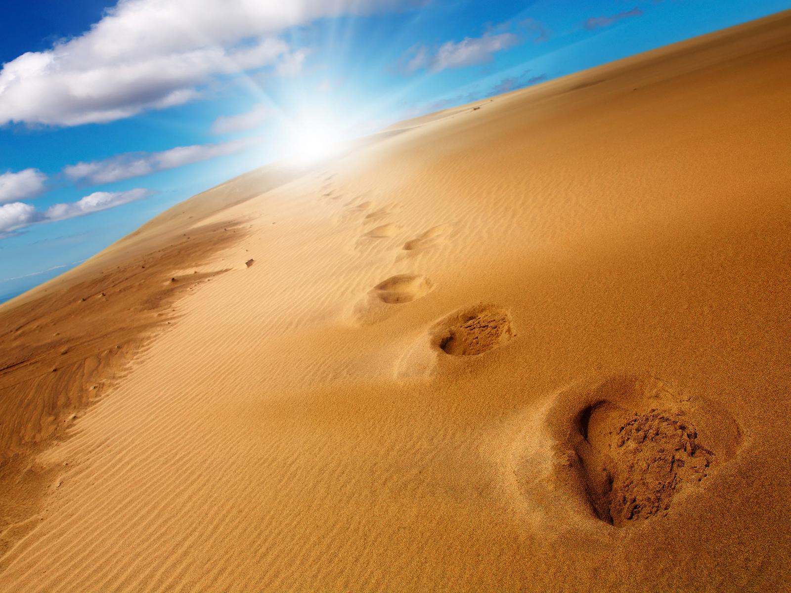 Footprints in Desert Sand wallpaper