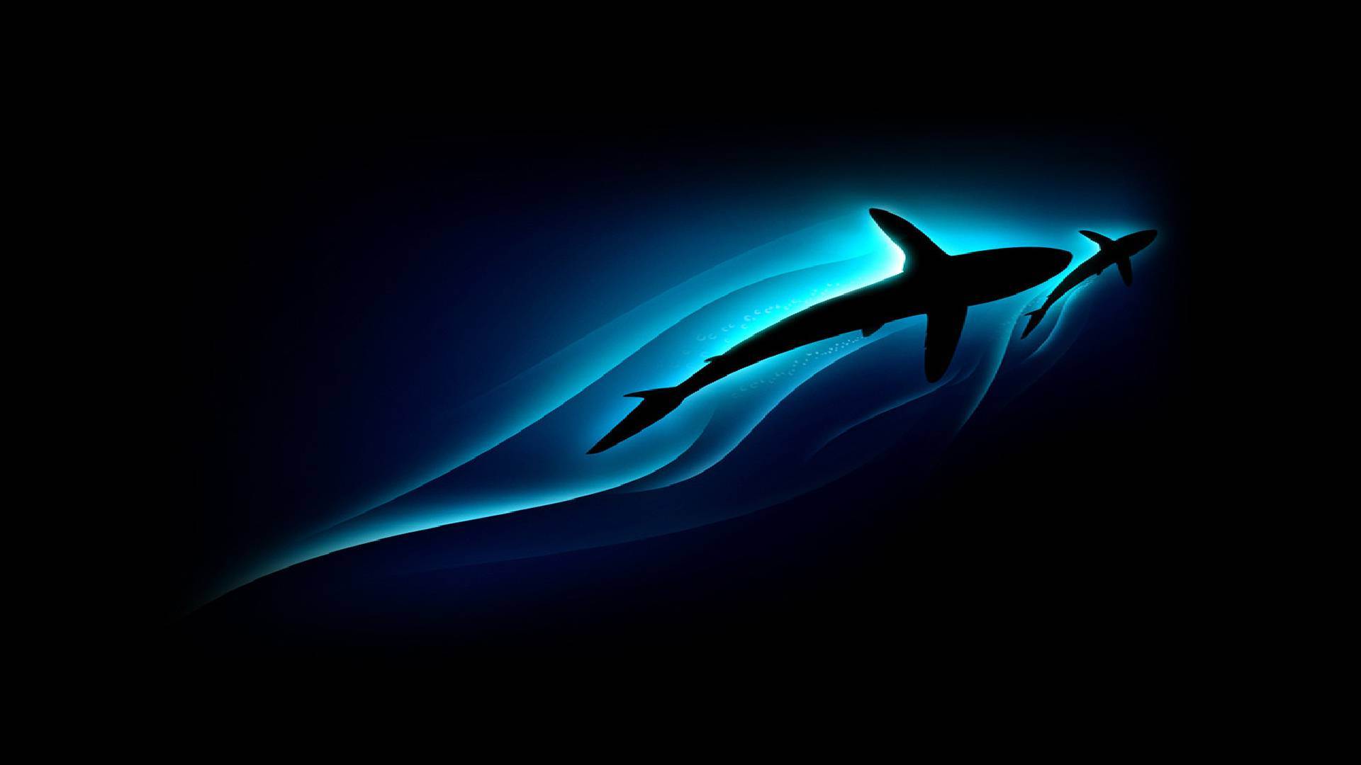 Cool Wallpaper Shark in Blue Light HD Wallpaper