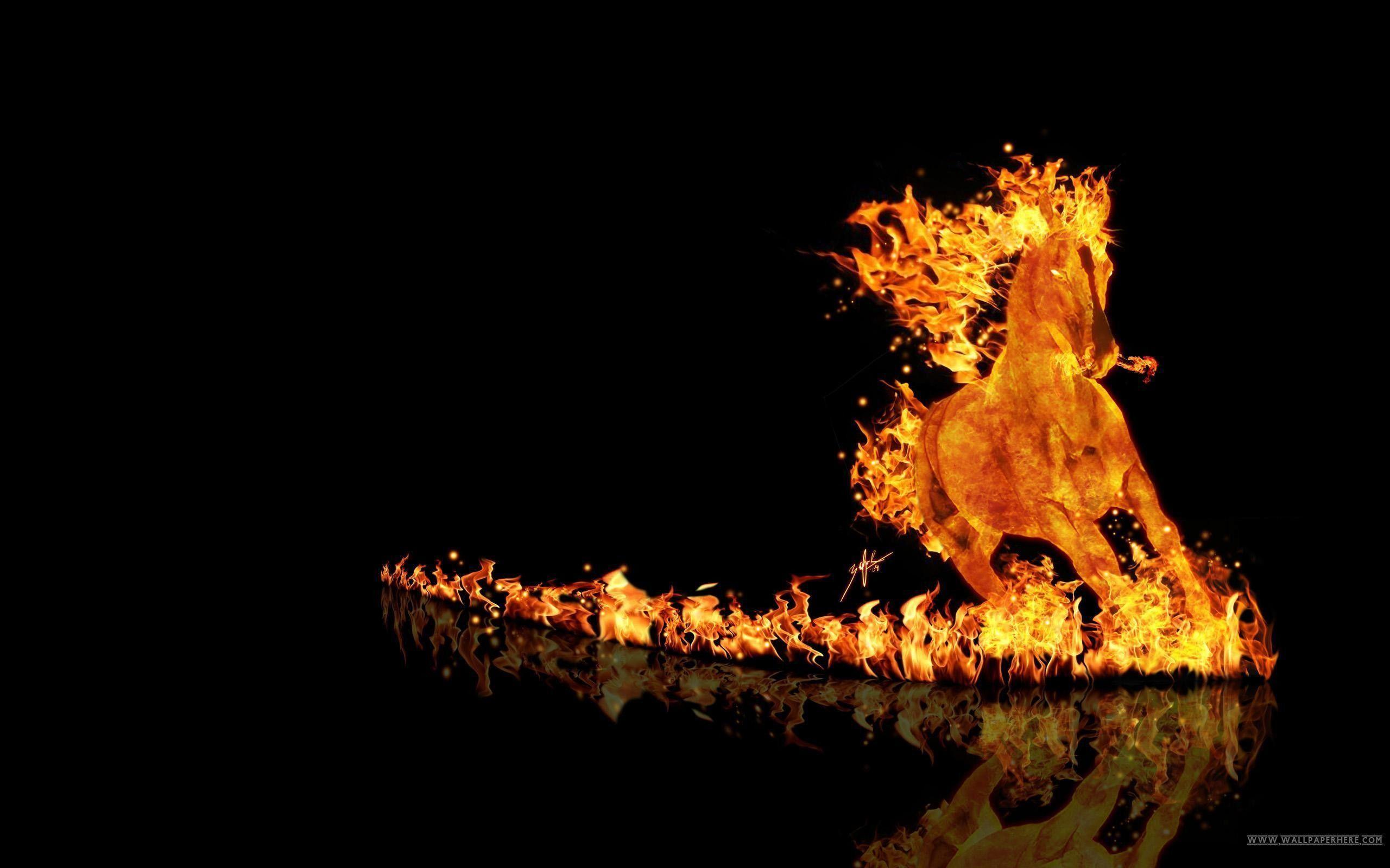Fire Horse Wallpaper HD wallpaper search