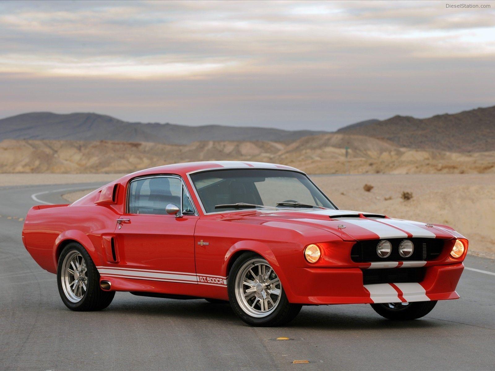 Shelby Gt500 Mustang Car Picture