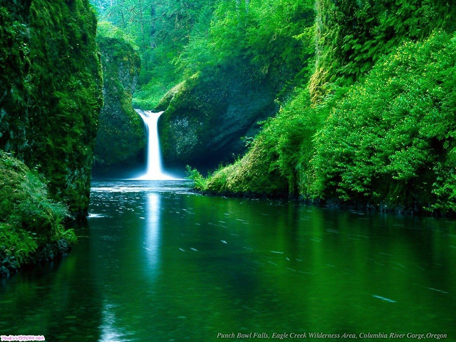 Download attractive and beautiful waterfall wallpaper