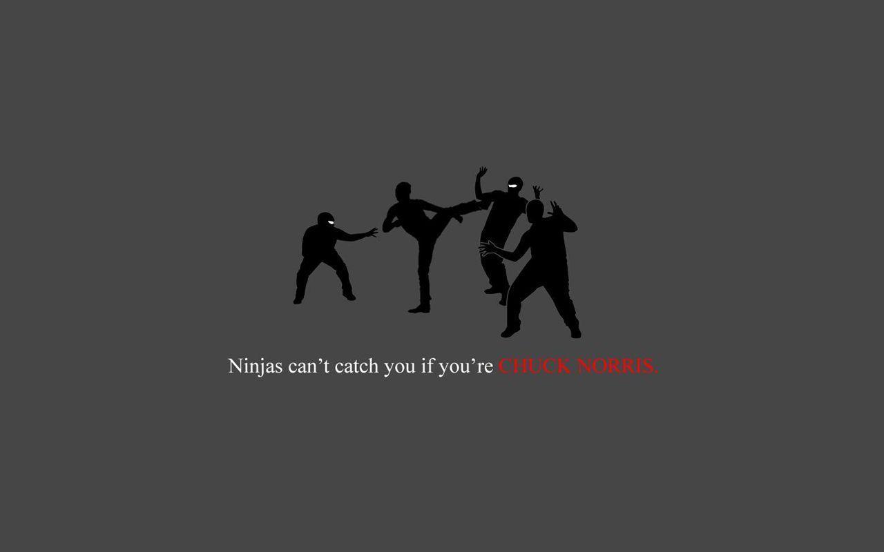 Ninjas Cant Catch You If Chuck Norris, Desktop and mobile