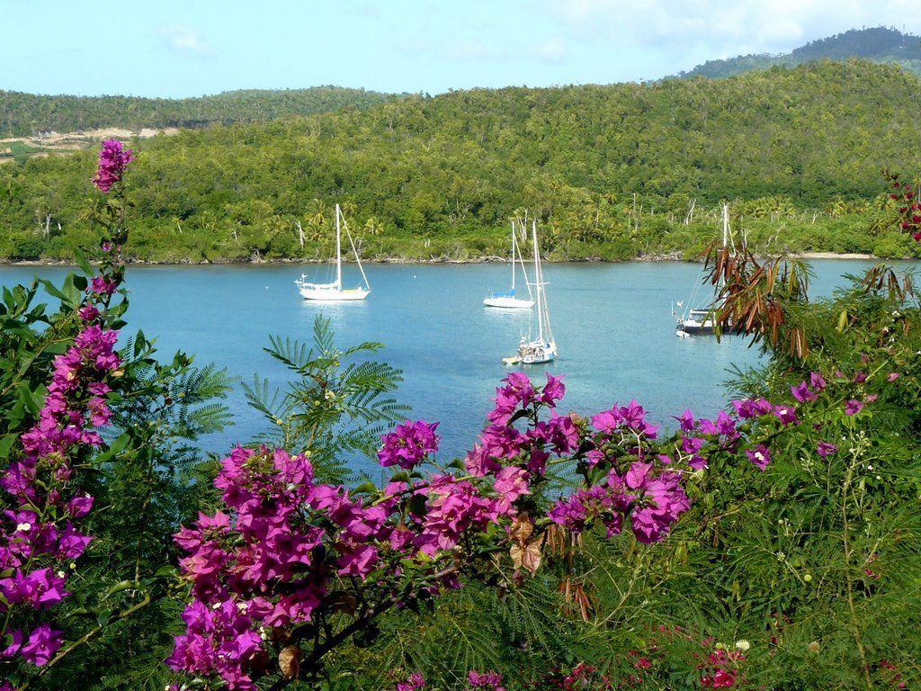 Panoramio of St David&;s Bay Grenada