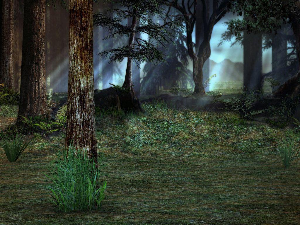 Forest Background 1