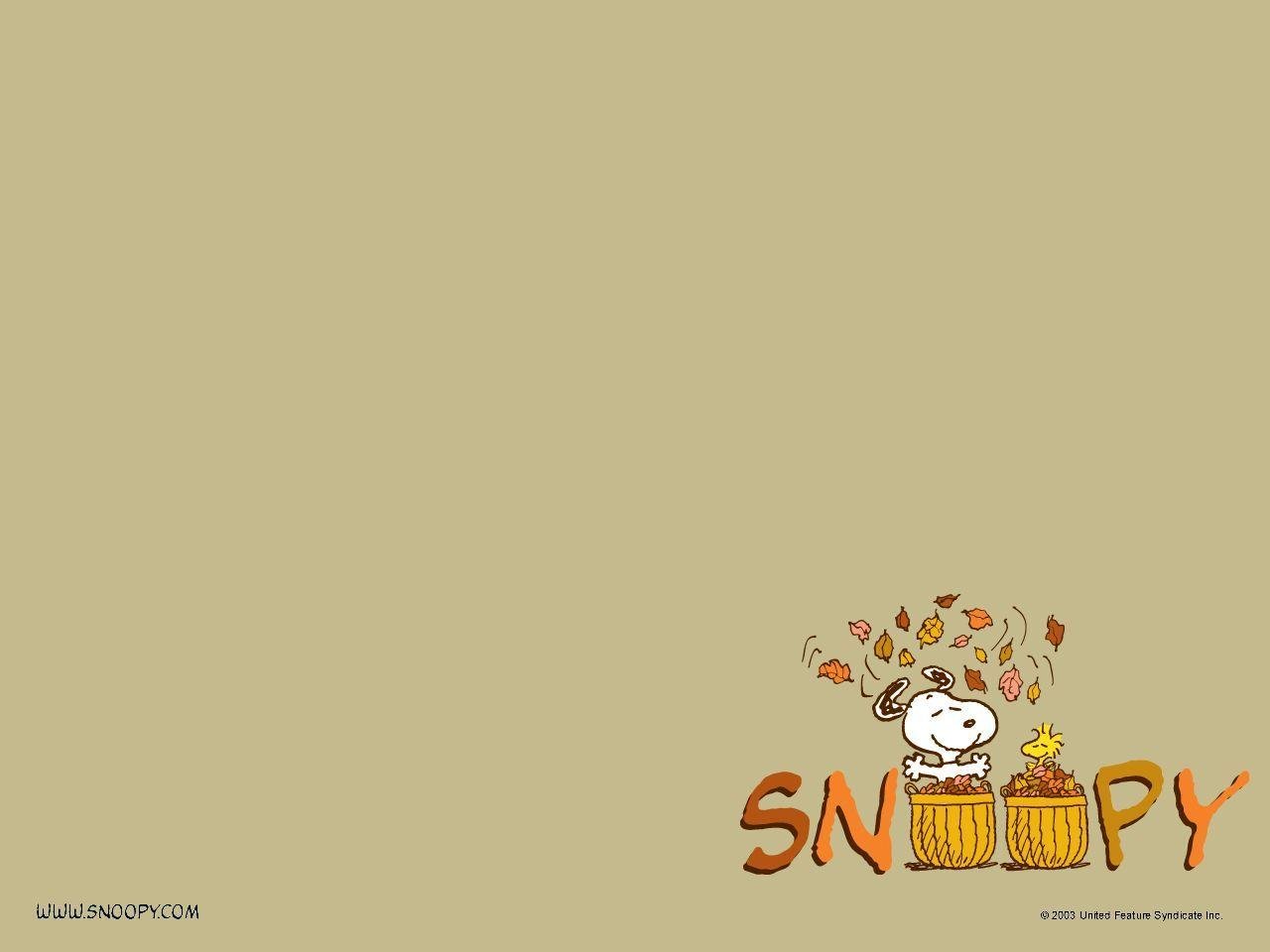 Download Cartoons Charlie Brown Thanksgiving Wallpaper 1280x960