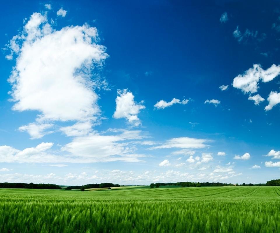 Blue Sky Android Wallpaper 960x800 HD Wallpaper Download For Cell