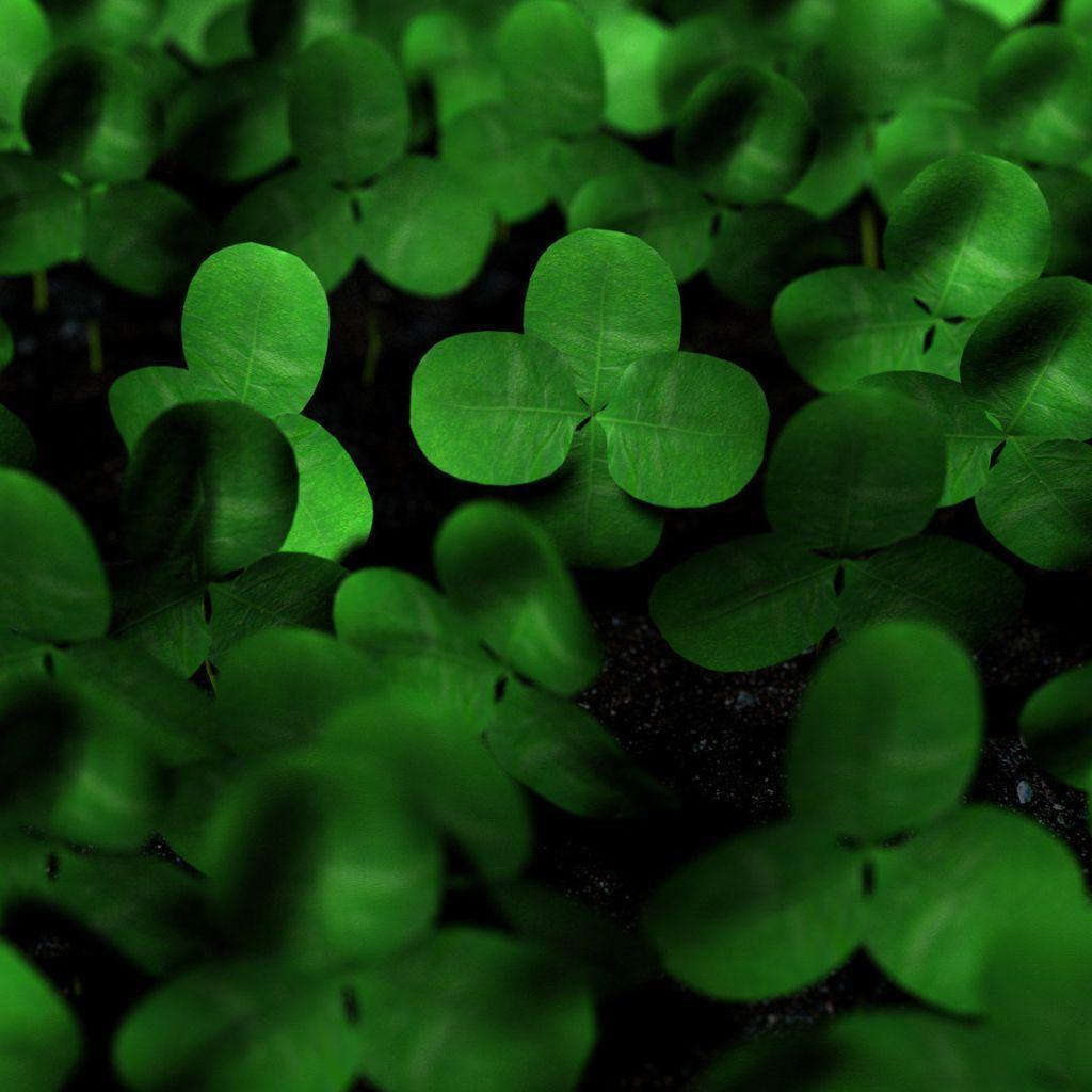 Four Leaf Clover Wallpapers - Wallpaper Cave