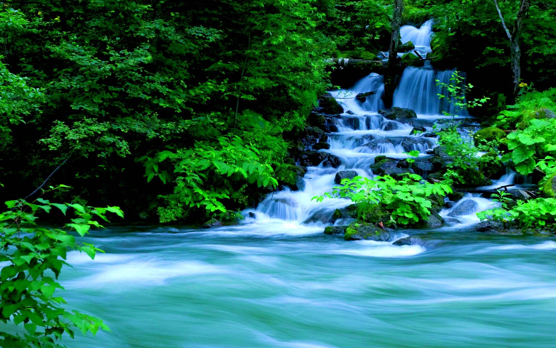 Waterfalls Wallpaper HD wallpaper search