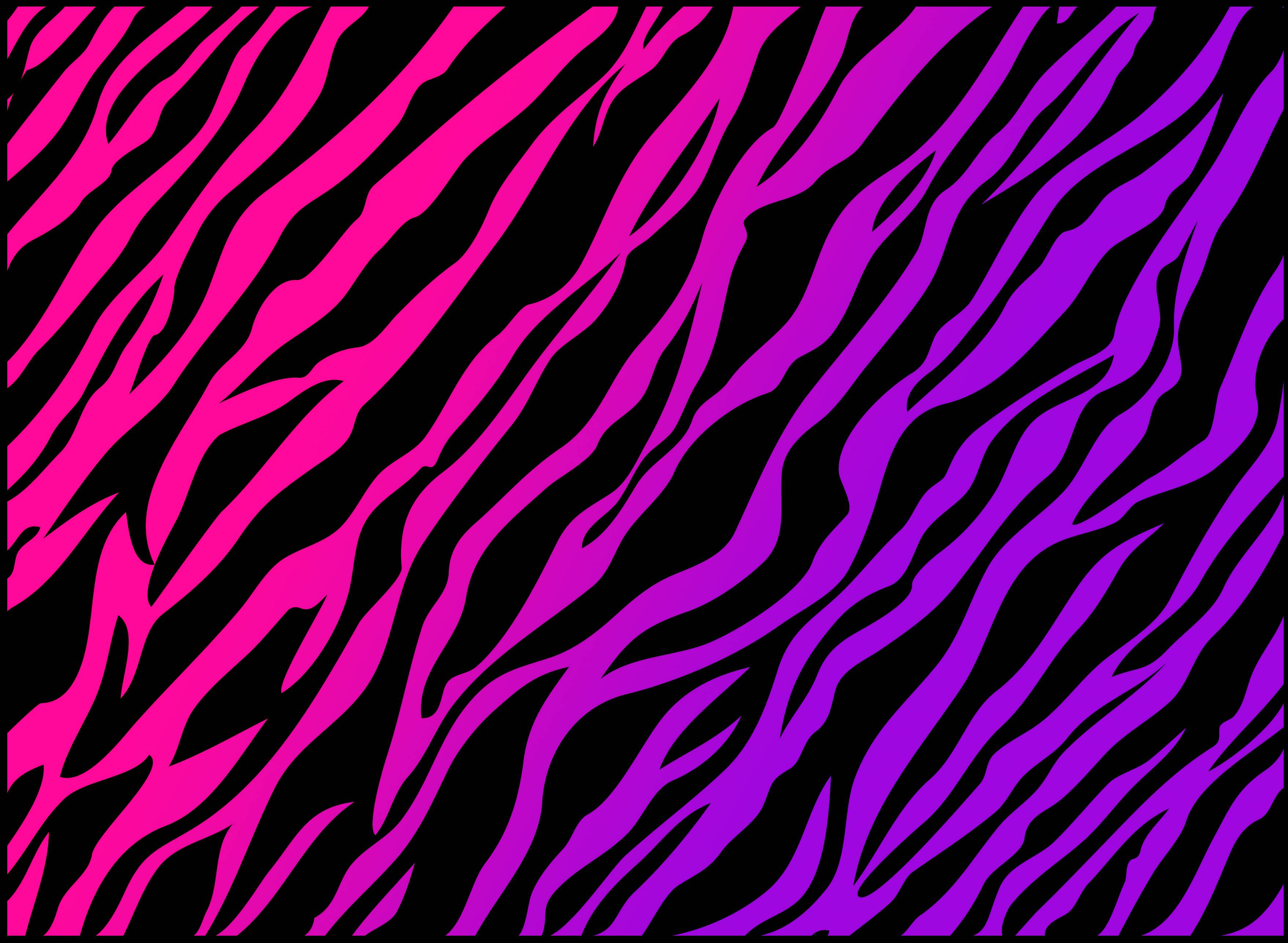 Download Colorful Zebra Print Genovic Wallpaper 3516x2574. Full
