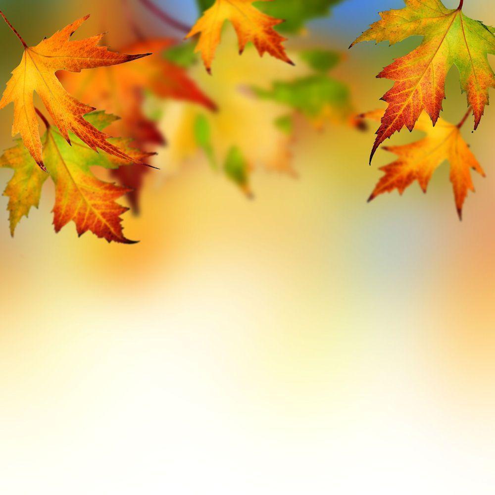 Free Road In Autumn Background For PowerPoint PPT