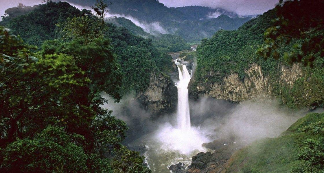 Amazon Rainforest Photo HD Wallpaper Wallpaper. iWallDesk