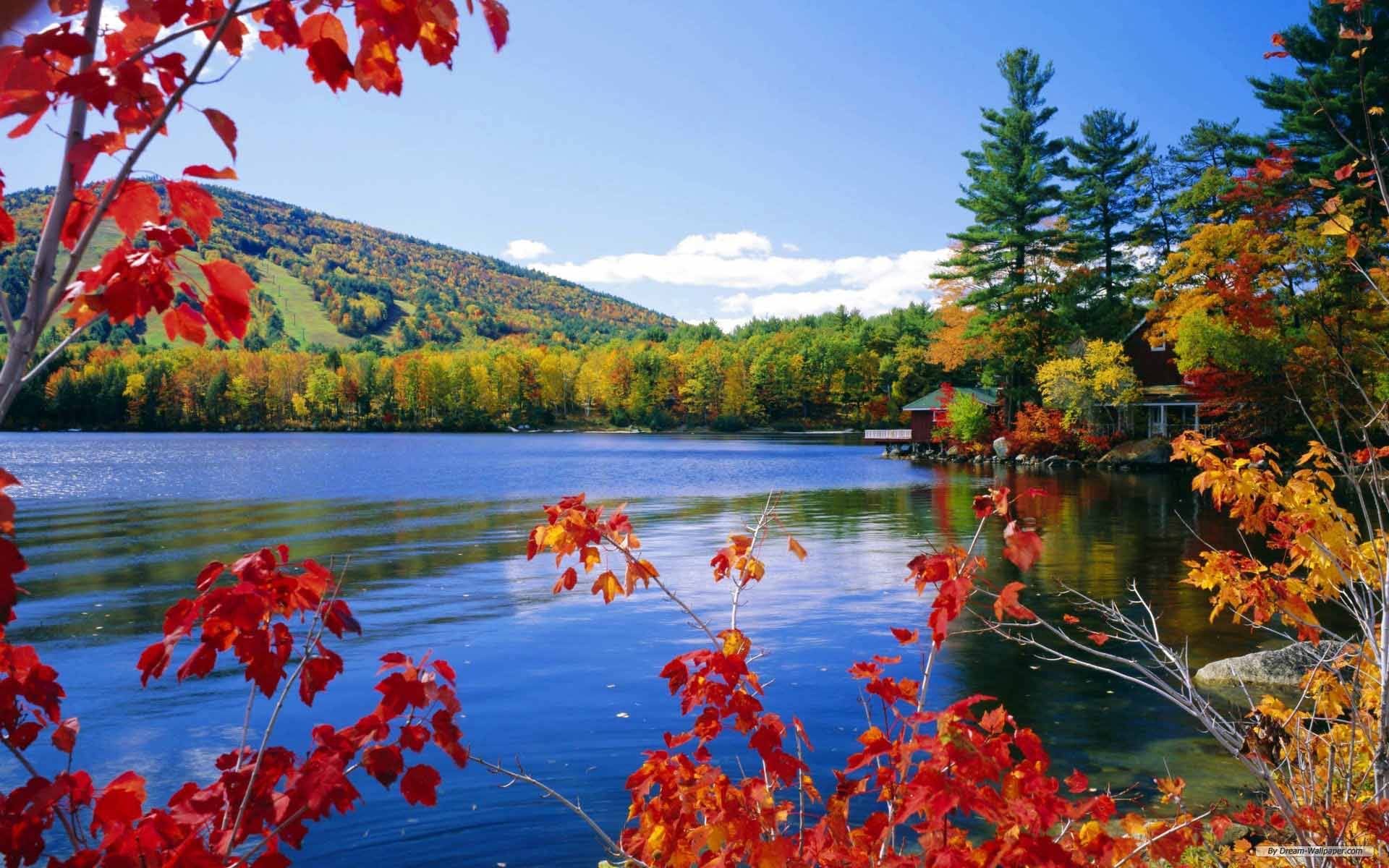 Fall colors on lake