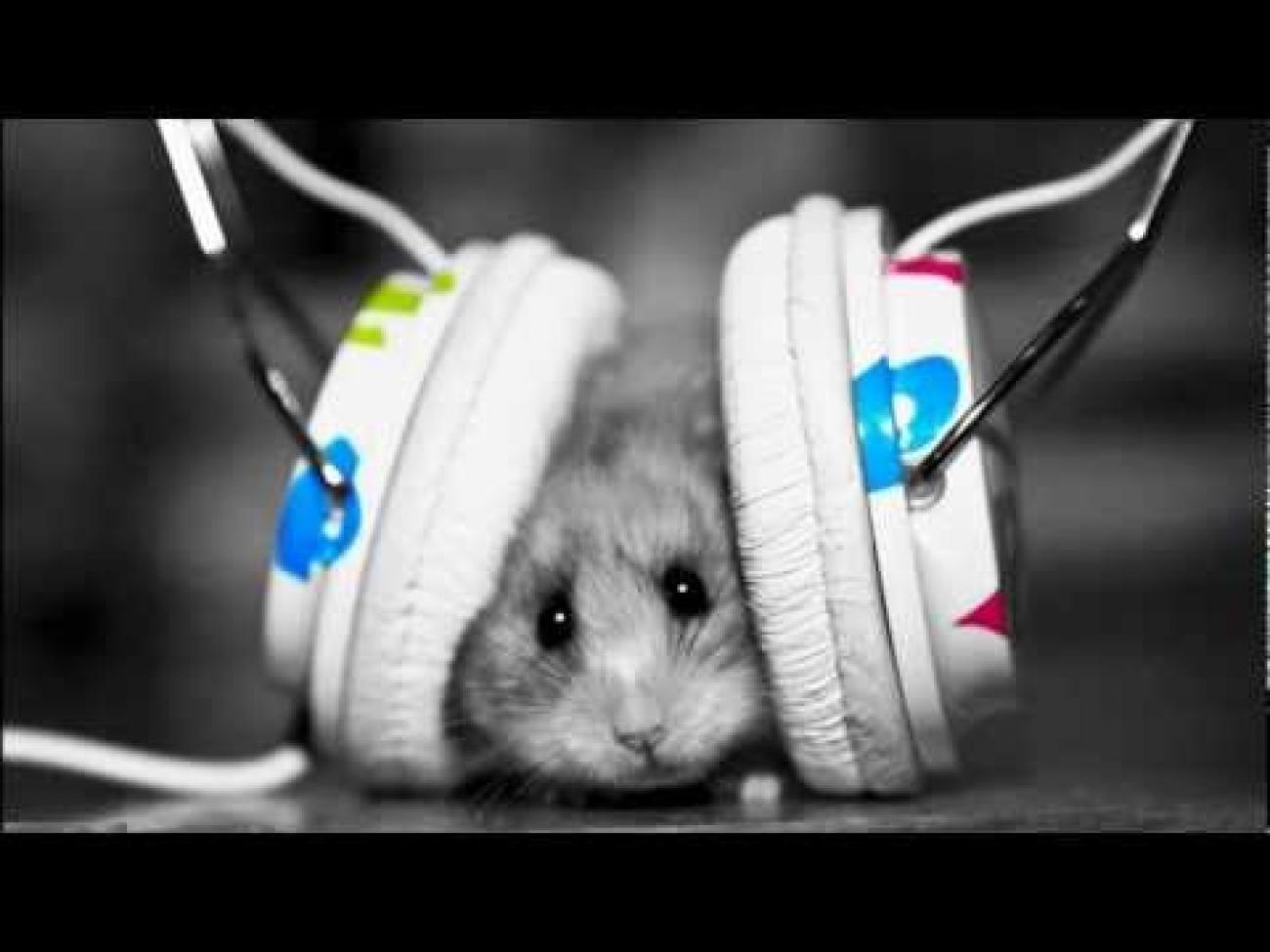 Awesome HD Wallpaper Music