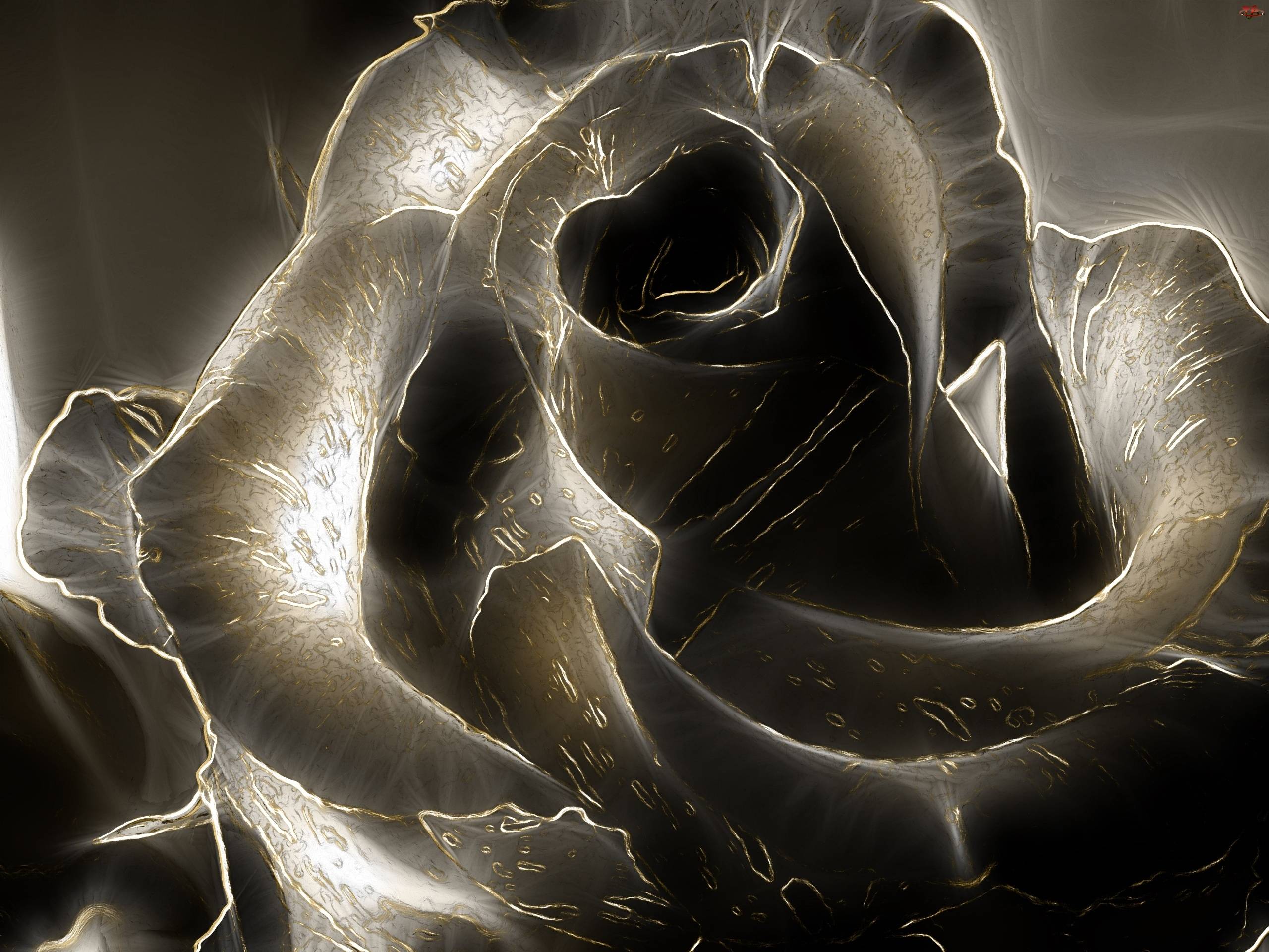 Black Rose Wallpapers - Wallpaper Cave