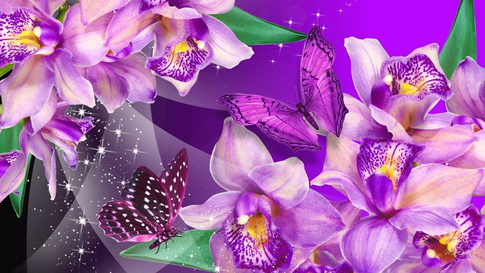 Desktop Wallpaper Butterfly Purple Phones Picture