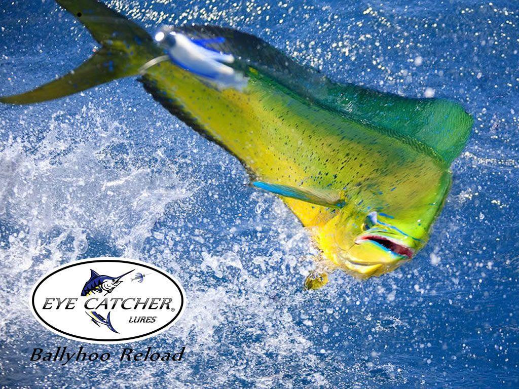 Wallpaper Trolling Lures & Teasers From Eye Catcher Lures