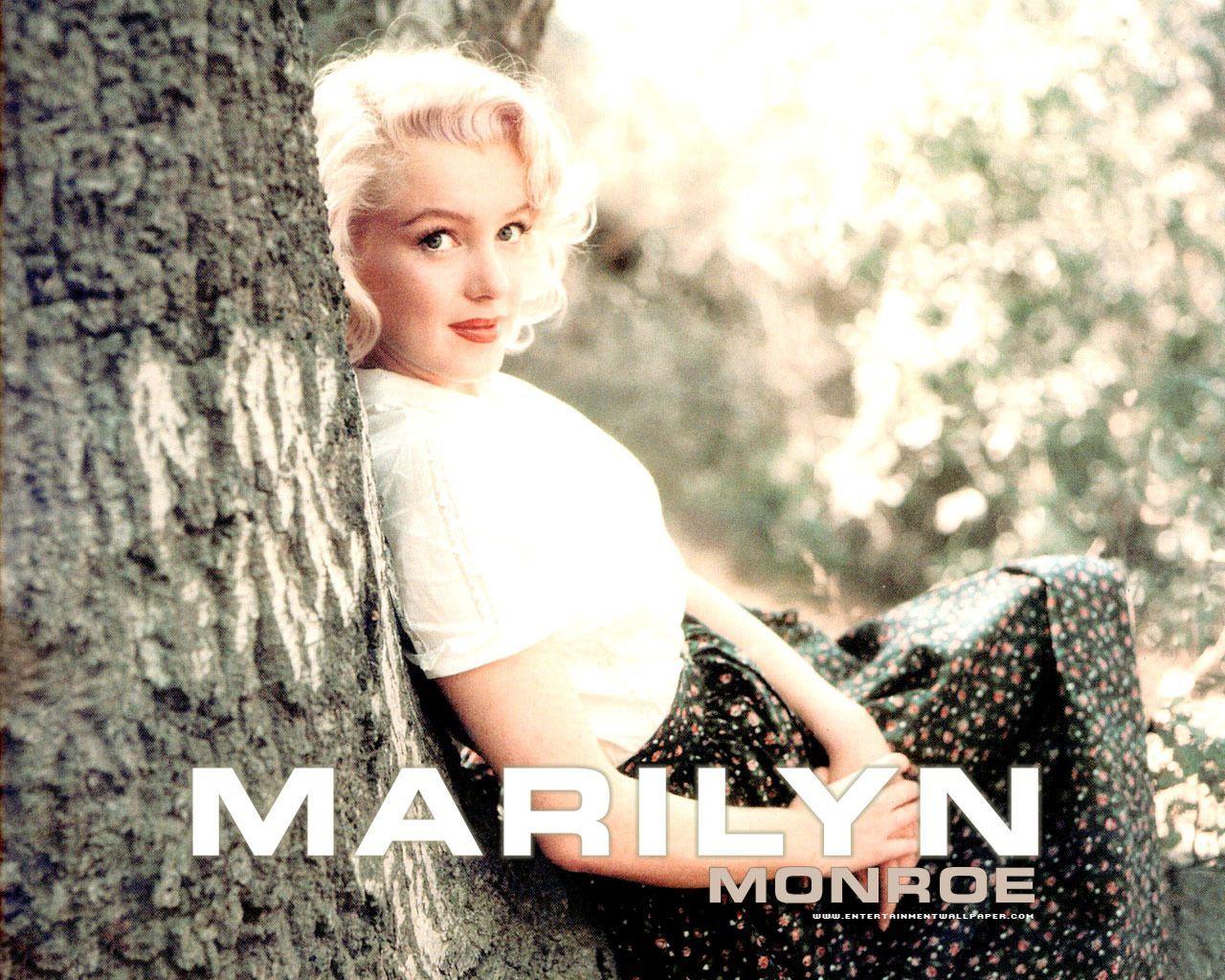 image For > Marilyn Monroe Background