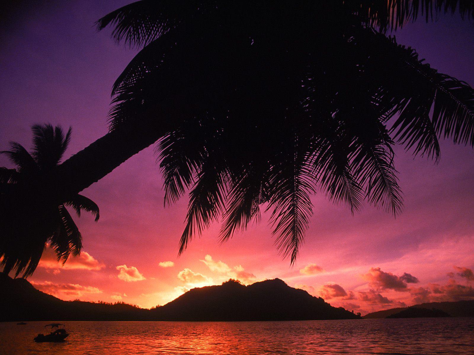 Tropical beach at sunset free desktop background wallpaper