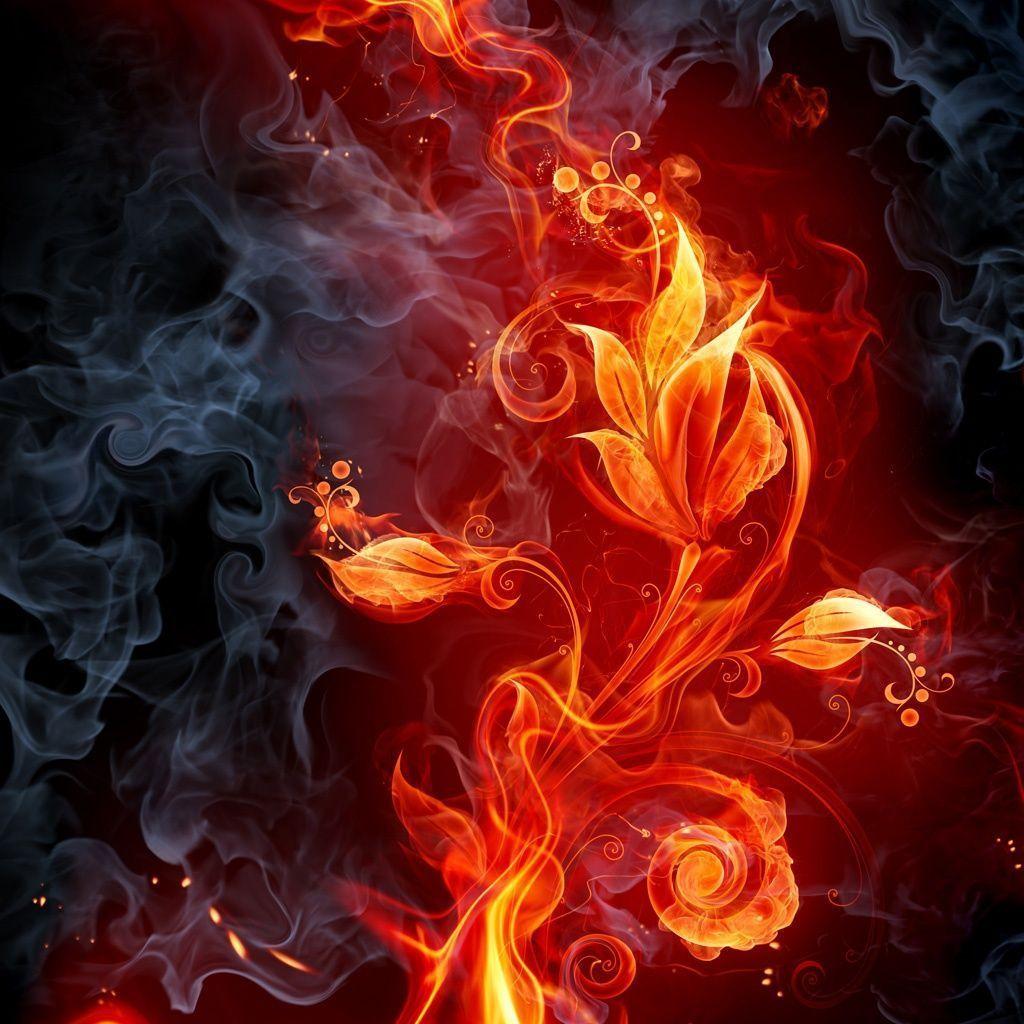 Fire Flower Wallpaper 12