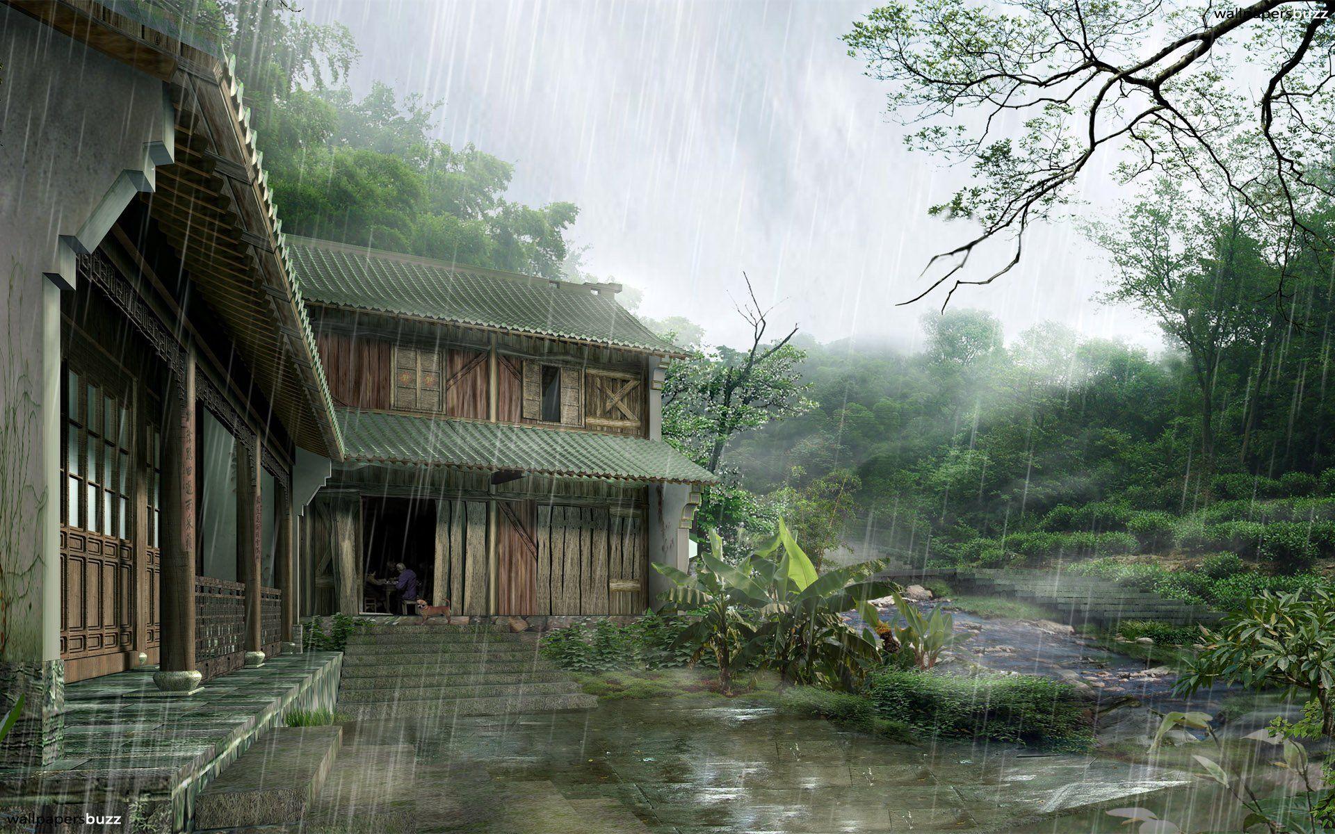 Beautiful Rain HD Wallpaper Wallpaper Inn