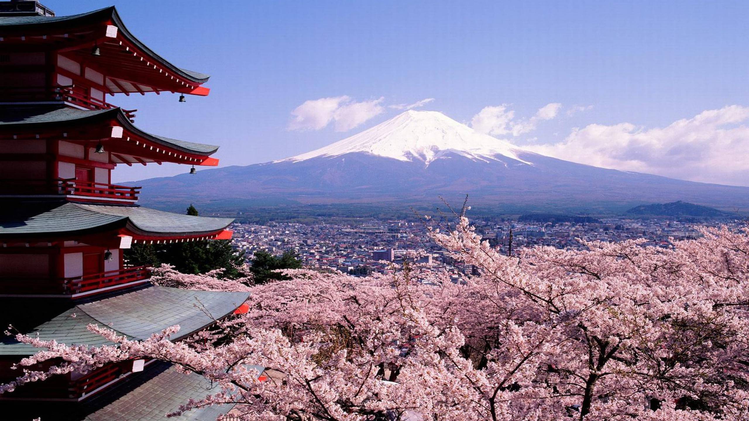 Mount Fuji Japan Wallpaper HD Wallpaper