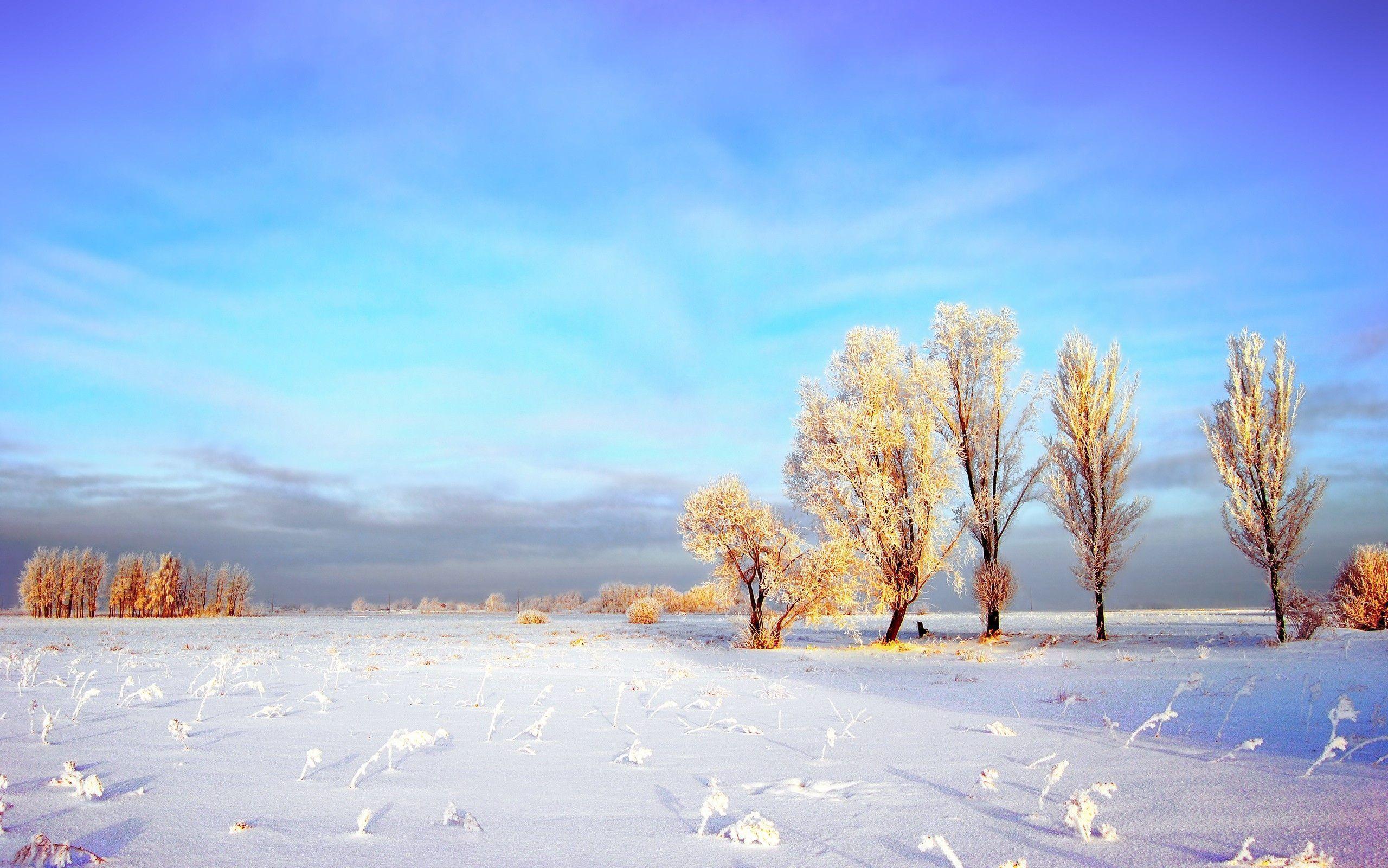 desktop wallpaper winter landscapes