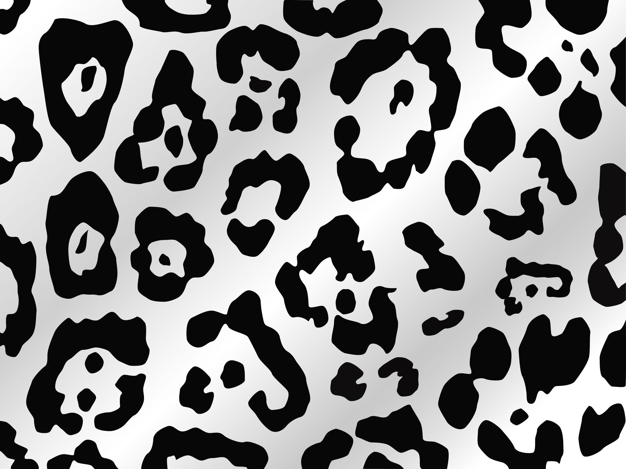 Leopard Print Patterns