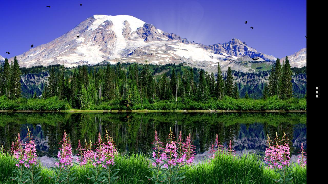 Mount Rainier Live Wallpaper Apps on Google Play