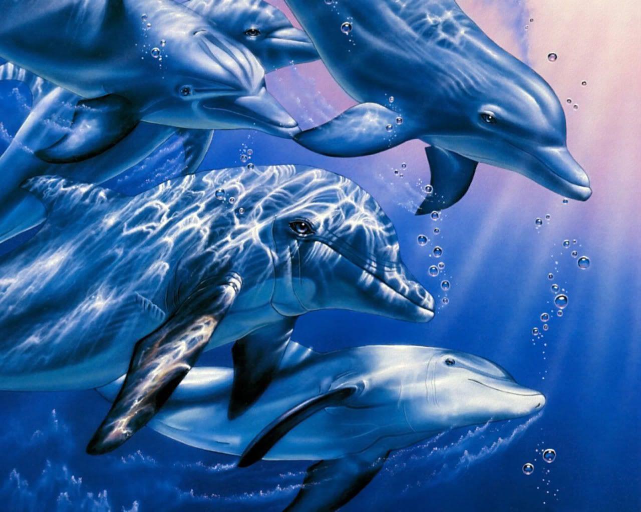Desktop Background Free Dolphins. Dolphins, Dolphin Pc
