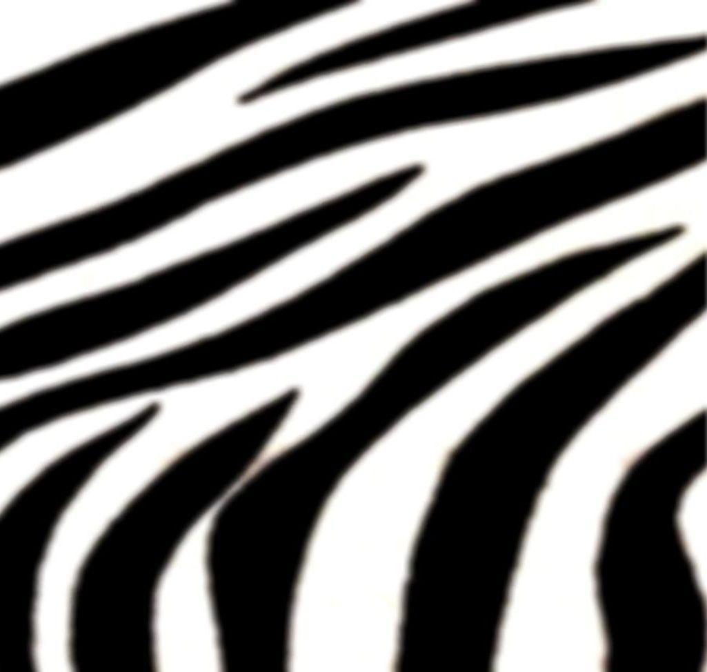 Zebra Photo and Picture Items