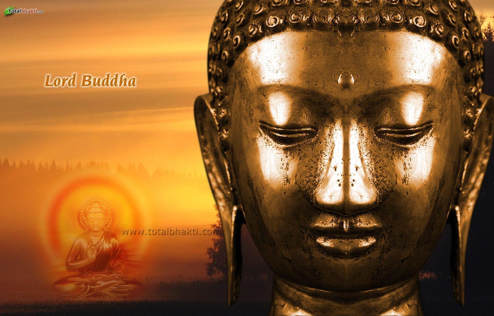 Buddha Picture Hd Wallpaper